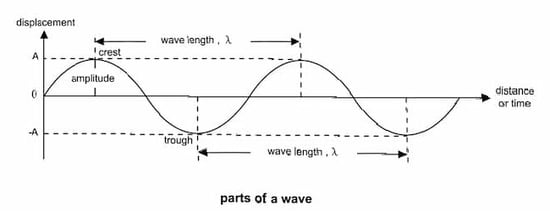 Sinusoid